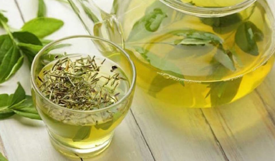 Anjuran Mengomsumsi Teh Hijau